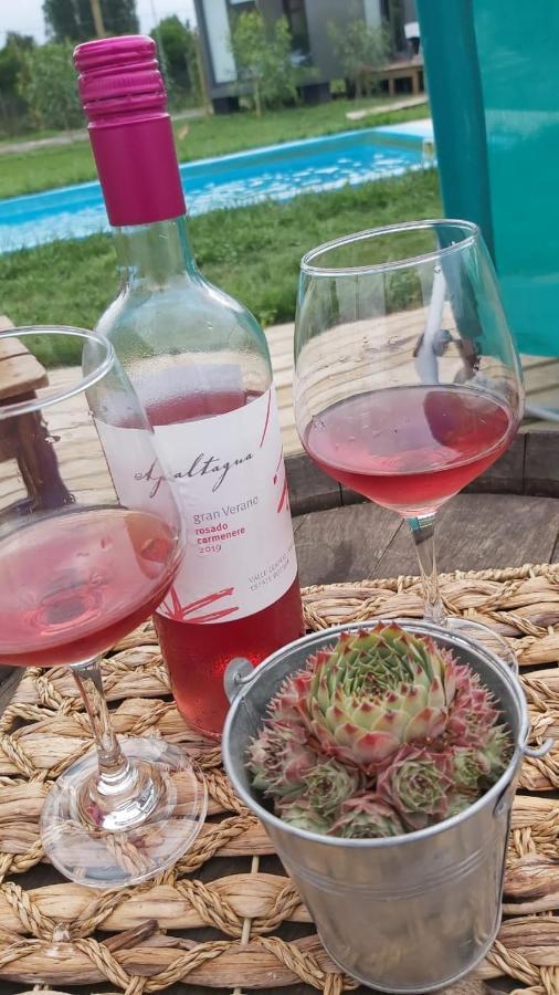 Tiny Colchagua Cabanas Y Padel Leilighet Santa Cruz Eksteriør bilde