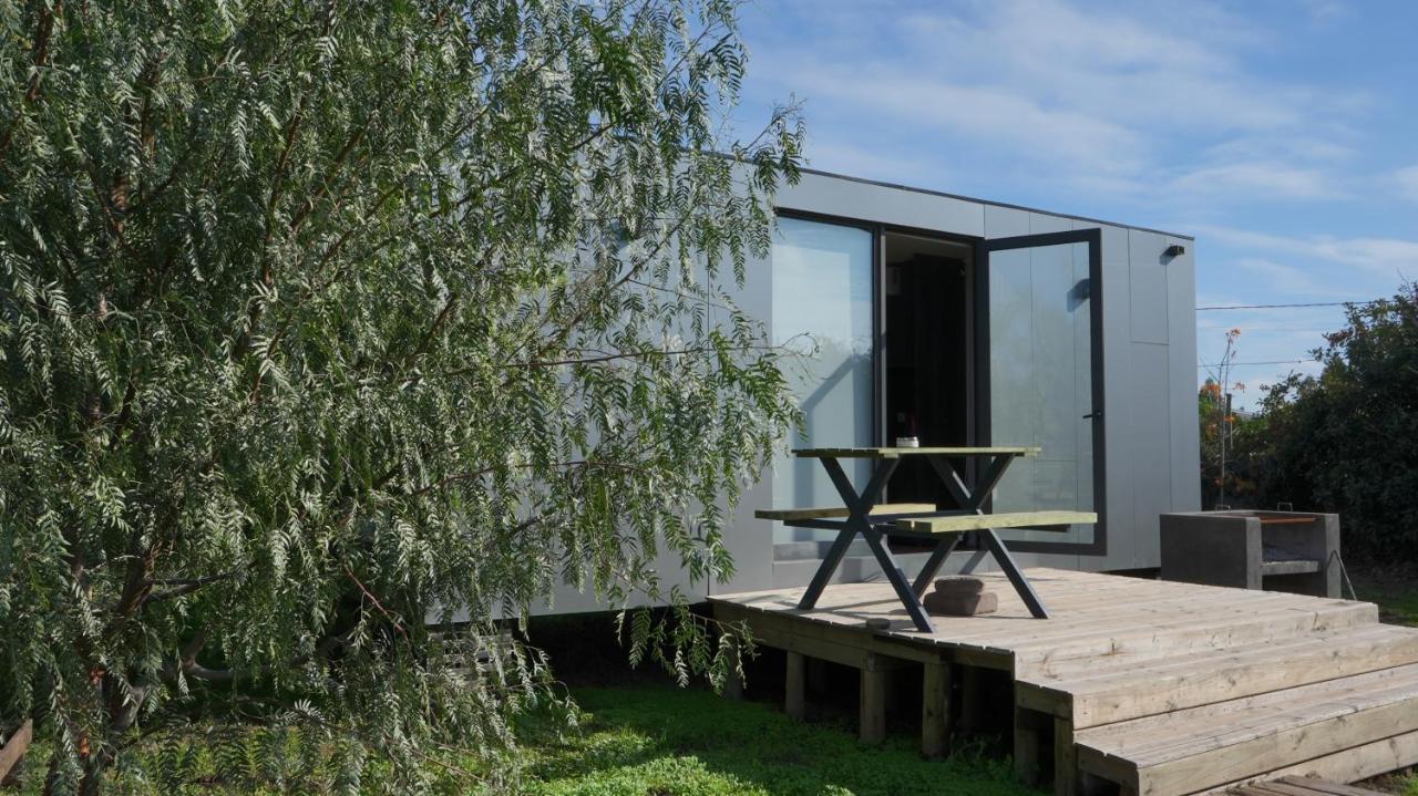 Tiny Colchagua Cabanas Y Padel Leilighet Santa Cruz Eksteriør bilde