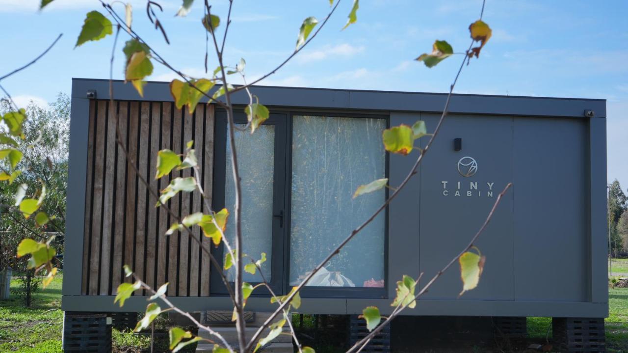 Tiny Colchagua Cabanas Y Padel Leilighet Santa Cruz Eksteriør bilde