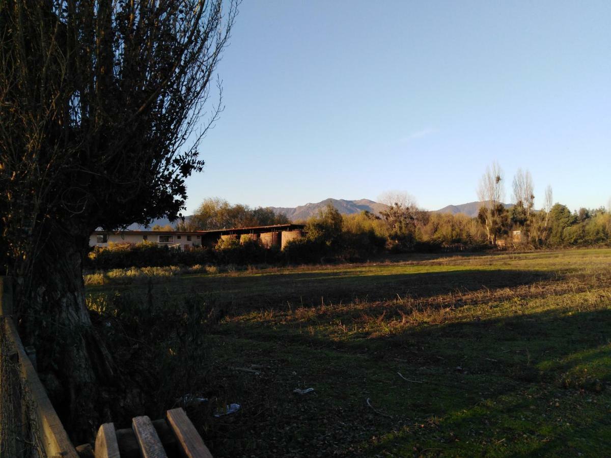 Tiny Colchagua Cabanas Y Padel Leilighet Santa Cruz Eksteriør bilde